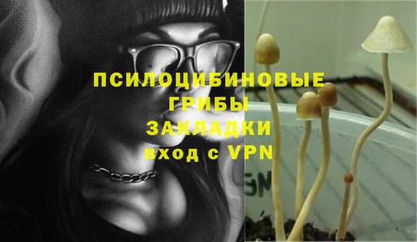 твердый Богданович