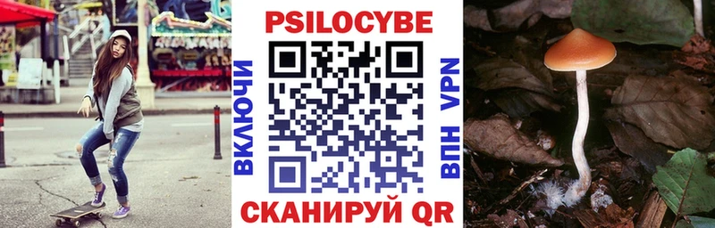 Псилоцибиновые грибы Psilocybine cubensis хочу ссылка на мегу сайт Великий Устюг
