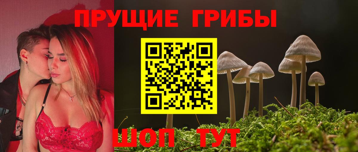 Великий Устюг  Галлюциногенные грибы прущие грибы  Вход с VPN  Псилоцибиновые грибы Magic Shrooms 