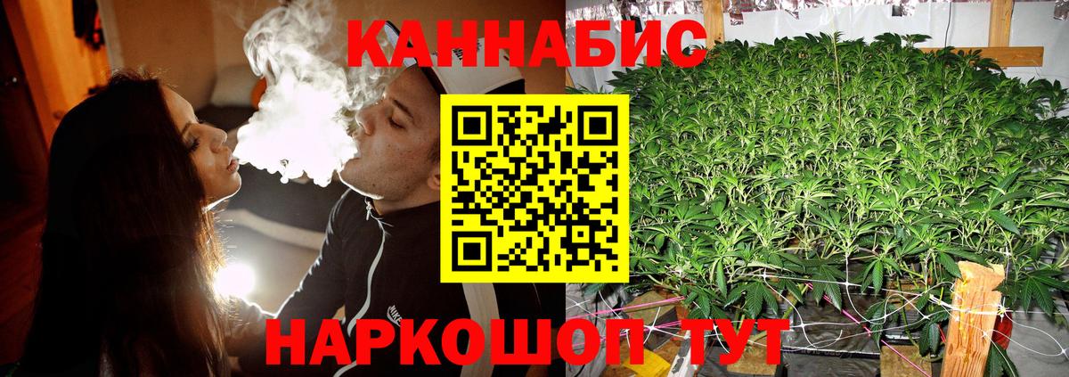 Бошки марихуана Amnesia Великий Устюг